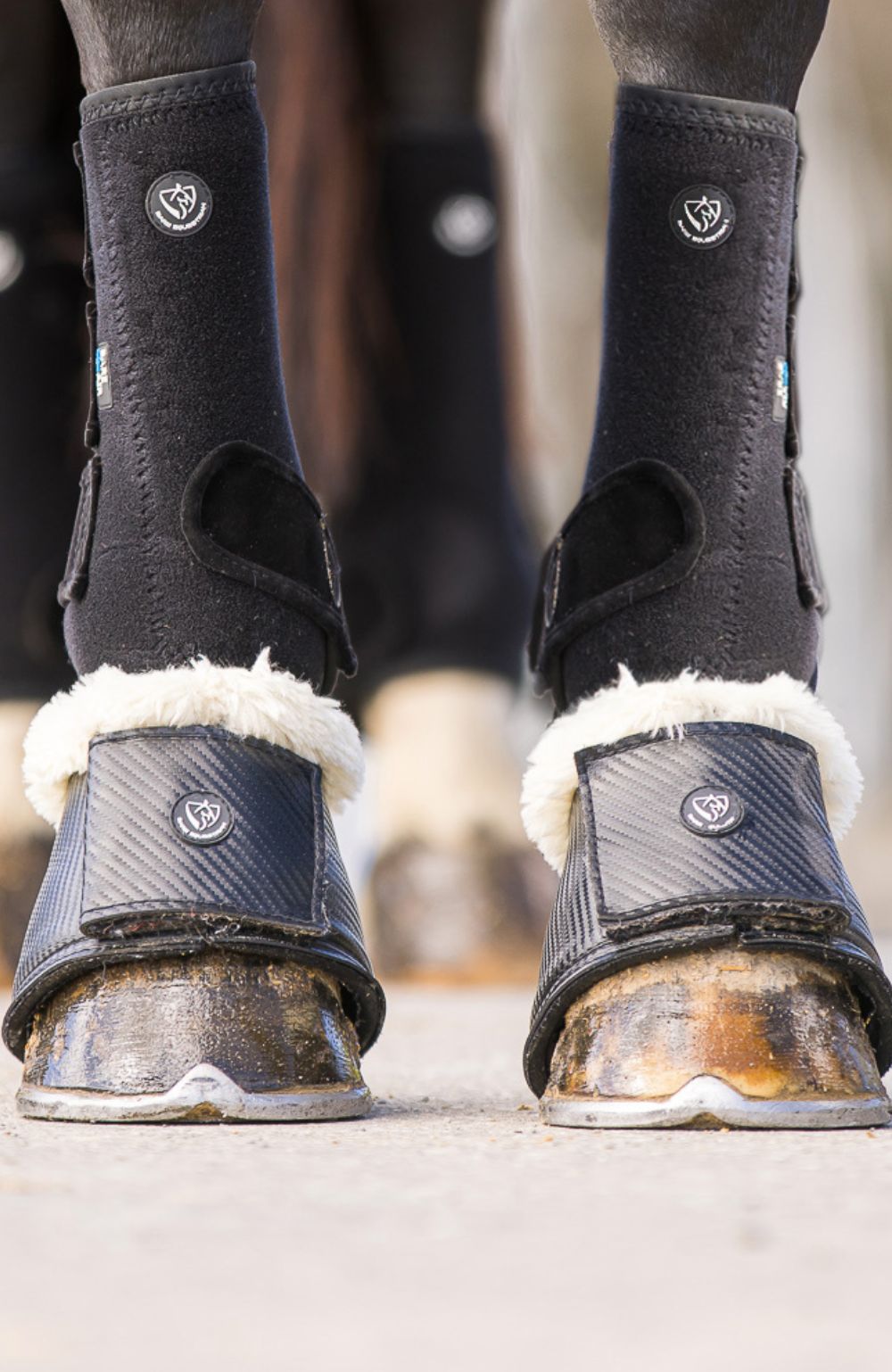 BARE Equestrian Horse Wear Carbon Tech Bell Boots