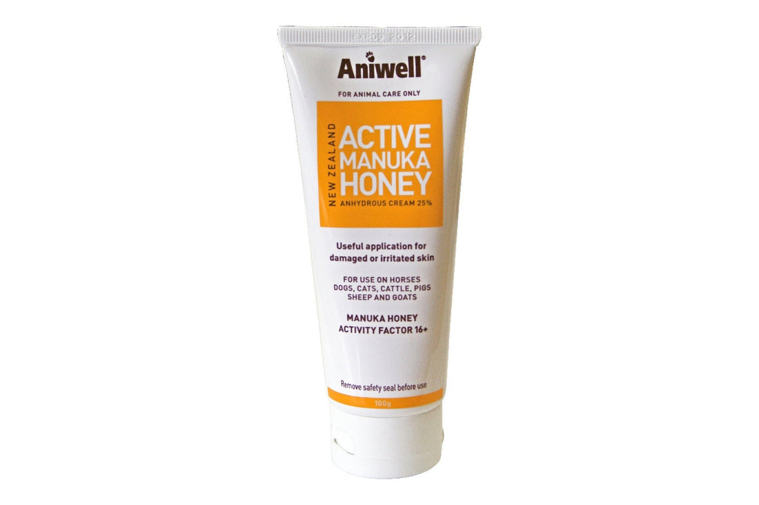 Aniwell Active Manuka Honey Ointment