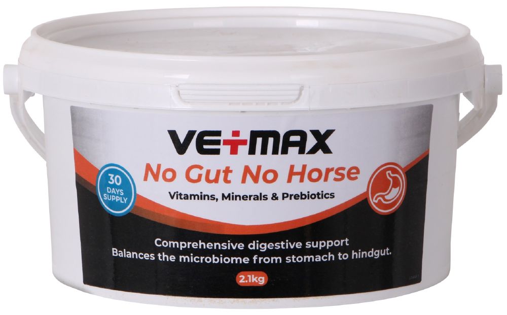 Vetmax No Gut No Horse