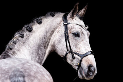 PS of Sweden Bridle Pioneer