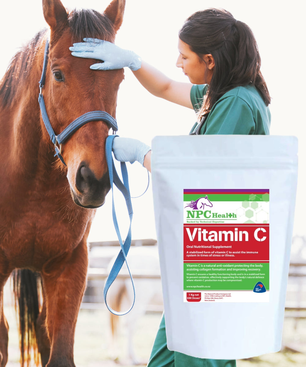 NPC Health Equine Vitamin C