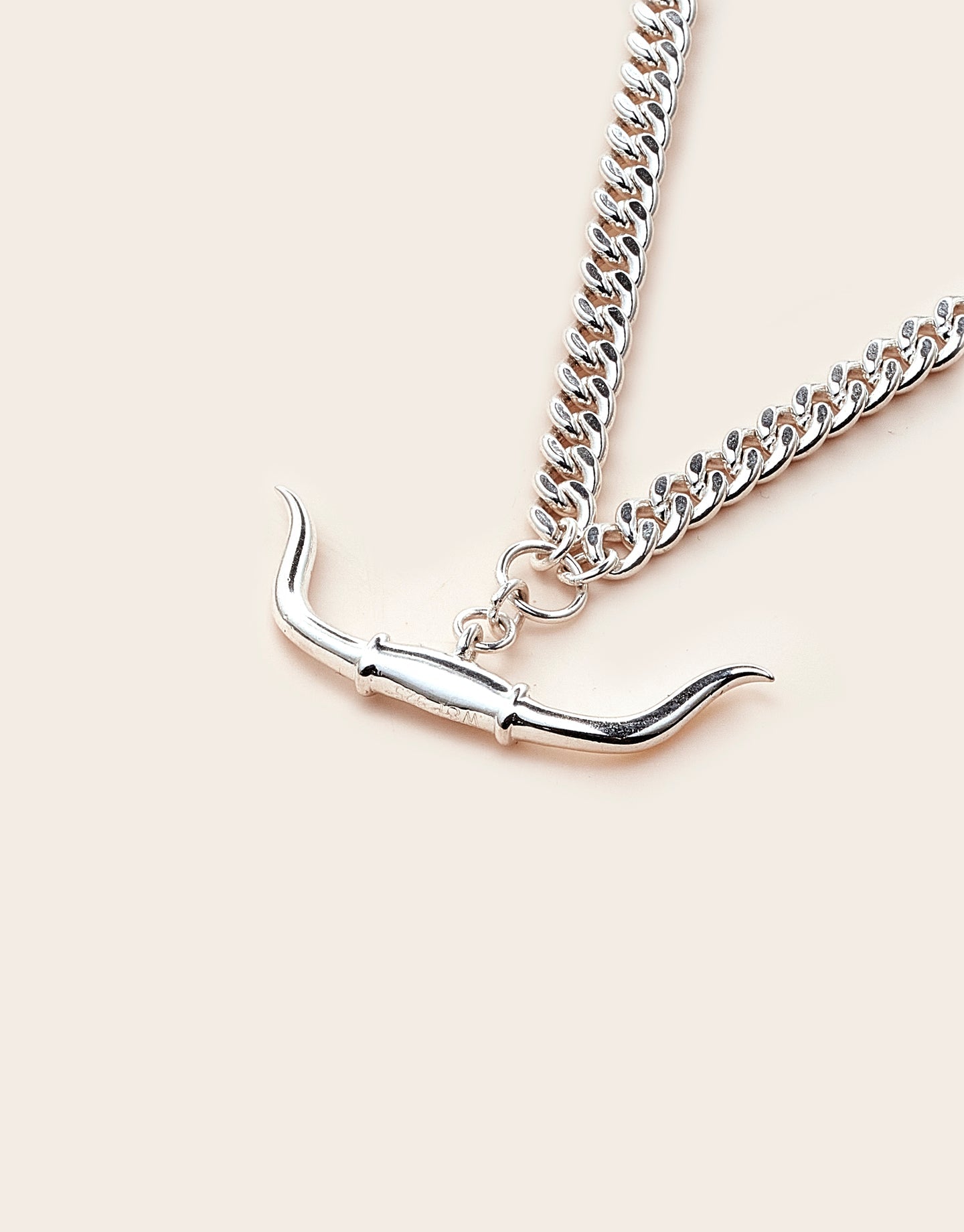 Whistle &amp; Pop Trailblazer Longhorn Necklace