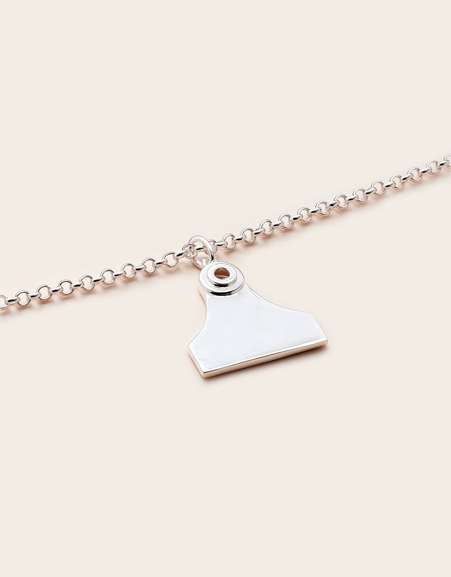 Whistle &amp; Pop High Country Cattle Tag Necklace Silver