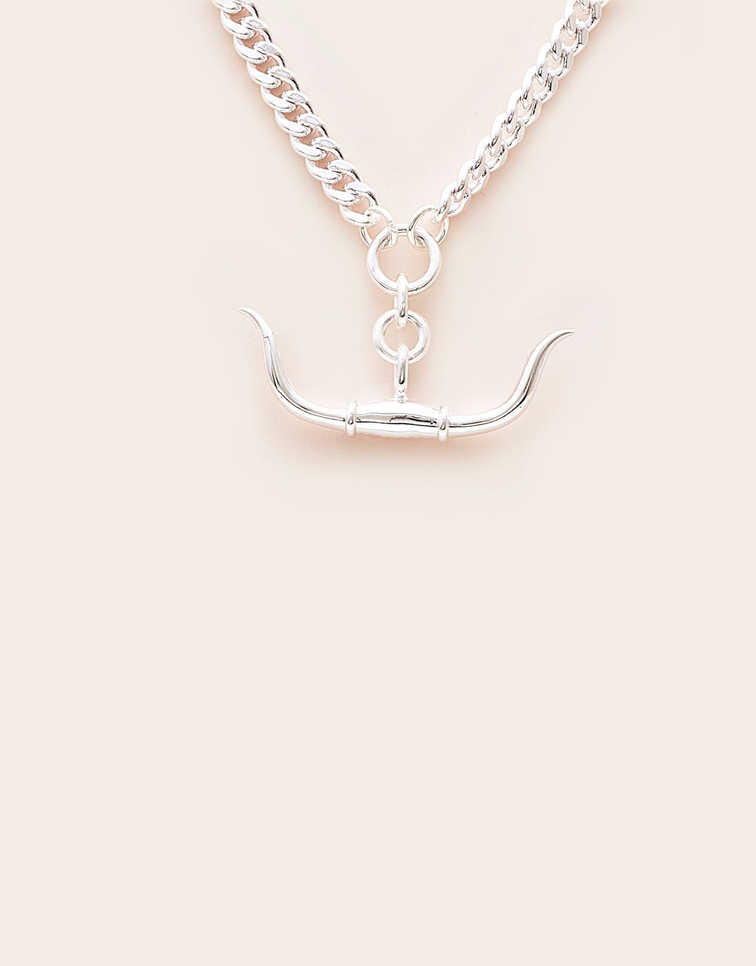 Whistle &amp; Pop Trailblazer Longhorn Necklace