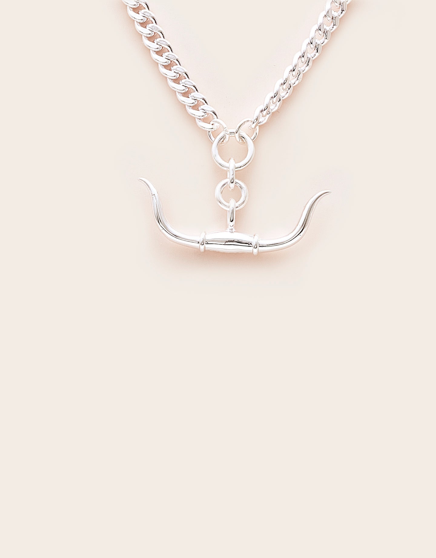 Whistle &amp; Pop Trailblazer Longhorn Necklace