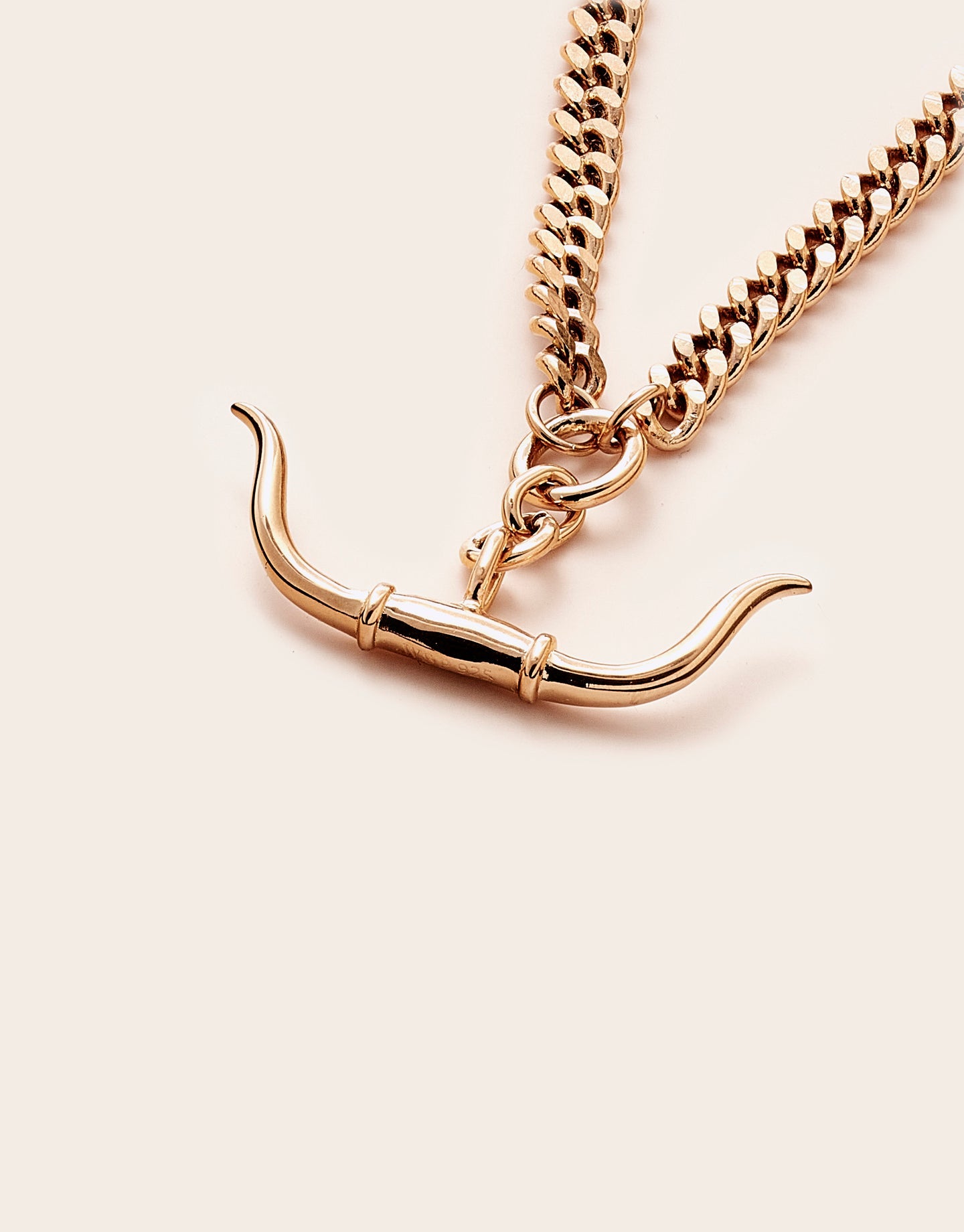 Whistle &amp; Pop Trailblazer Longhorn Necklace