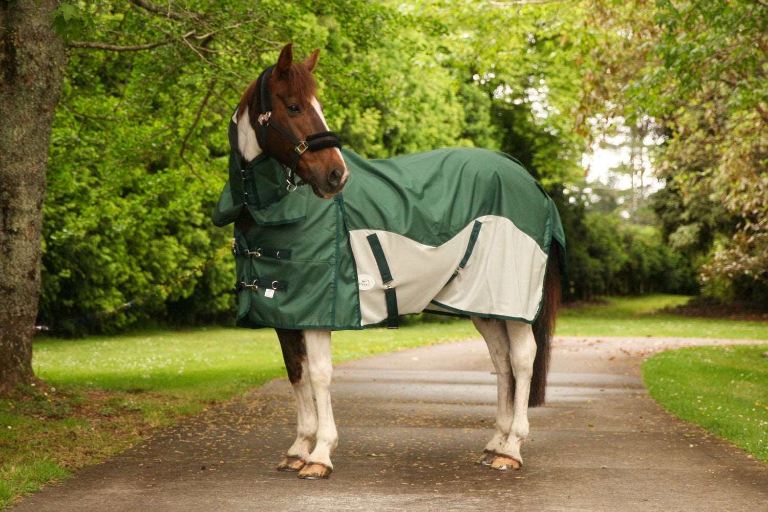 PRE-ORDER: DUE FEB 2026  NZ Tack WaterProof Mesh CrossOver Combo Green