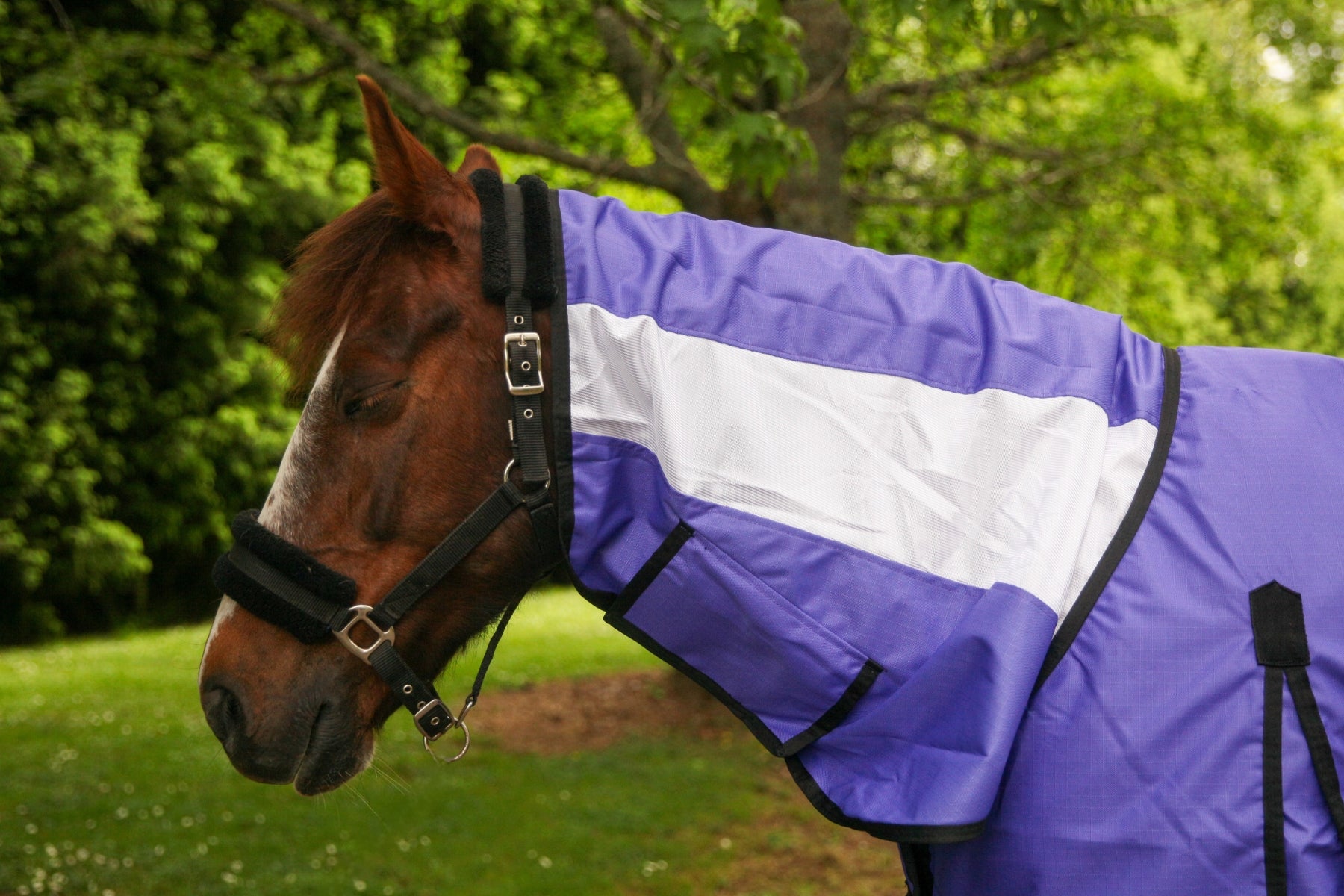 PRE-ORDER: DUE FEB 2026 NZ Tack WaterProof Mesh CrossOver Combo Purple