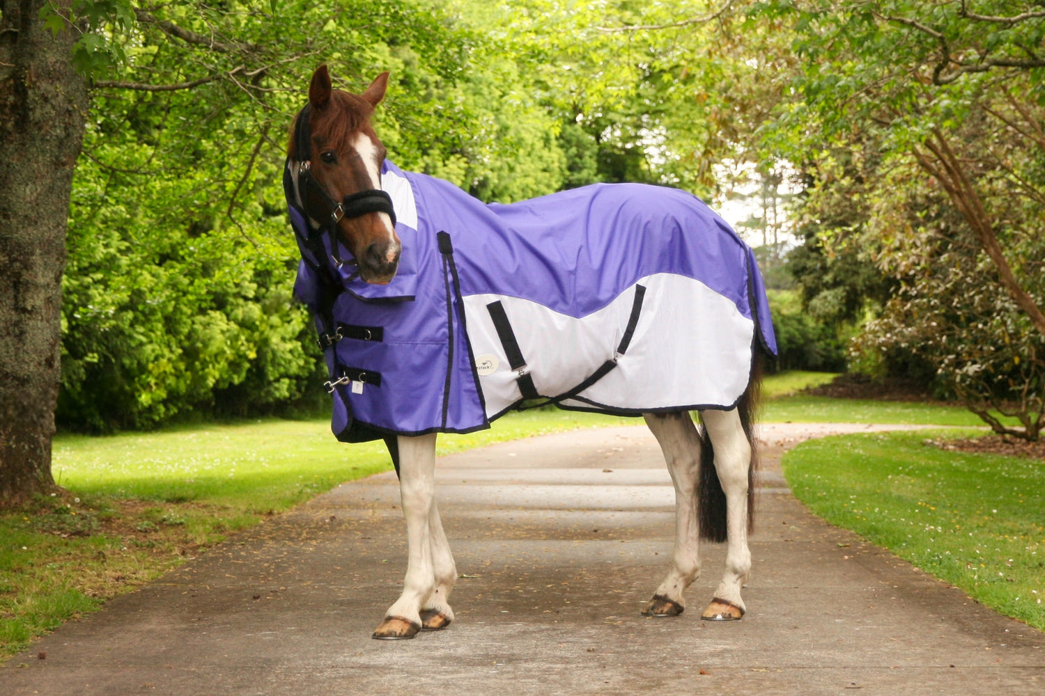 PRE-ORDER: DUE FEB 2026 NZ Tack WaterProof Mesh CrossOver Combo Purple