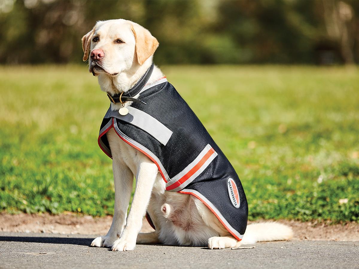 Weatherbeeta ComFiTec 1200D Therapy-Tec Dog Coat