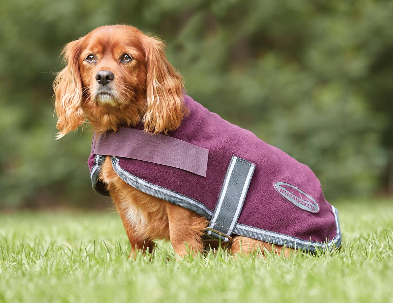 Weatherbeeta ComFiTec Fleece Dog Coat