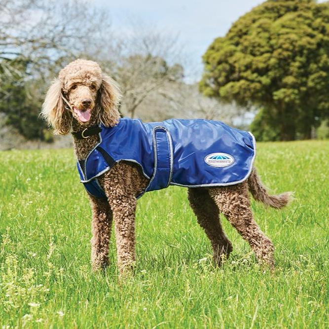 Weatherbeeta ComFiTec Windbreaker Free Deluxe Dog Coat