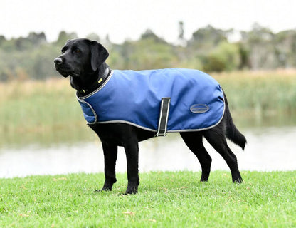 Weatherbeeta ComFiTec Windbreaker Free Dog Coat