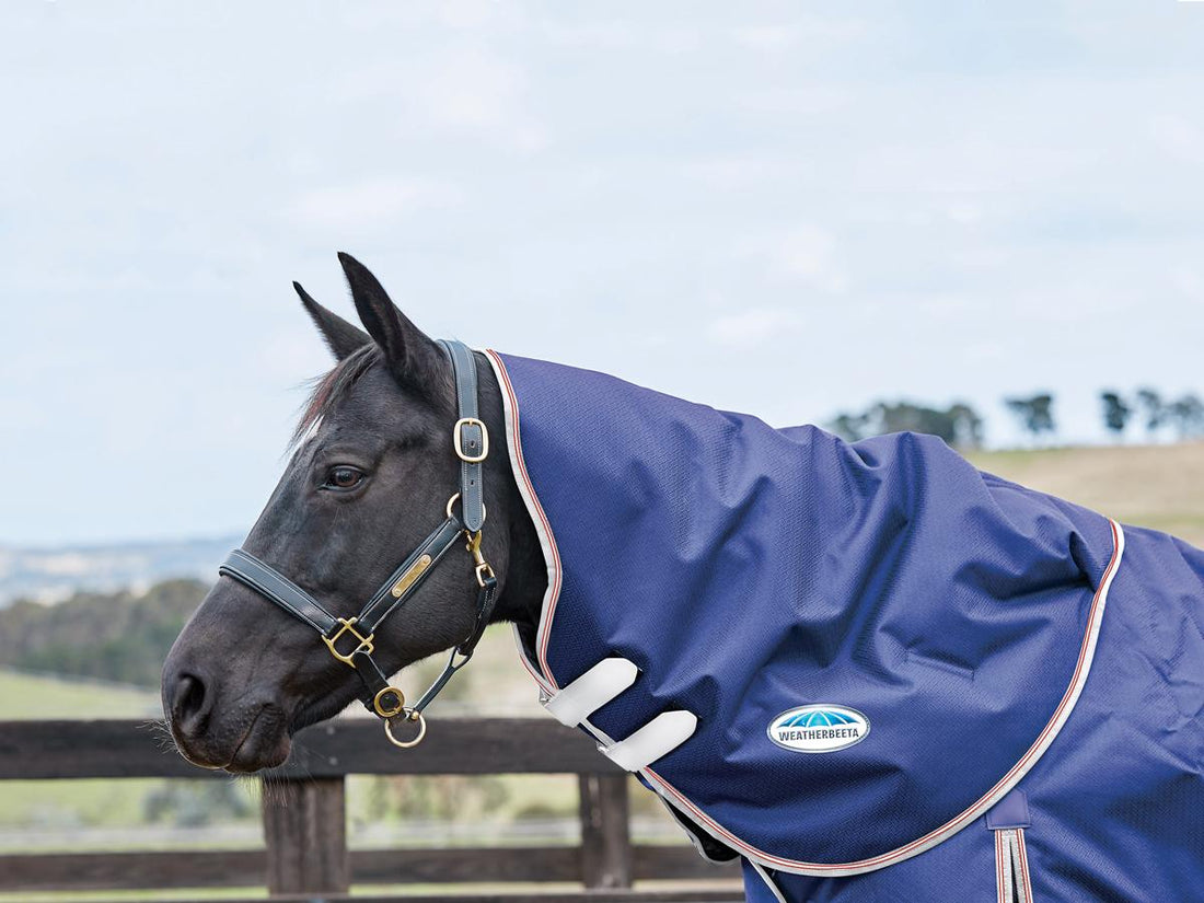 Weatherbeeta ComfiTec Essential Neck Rug