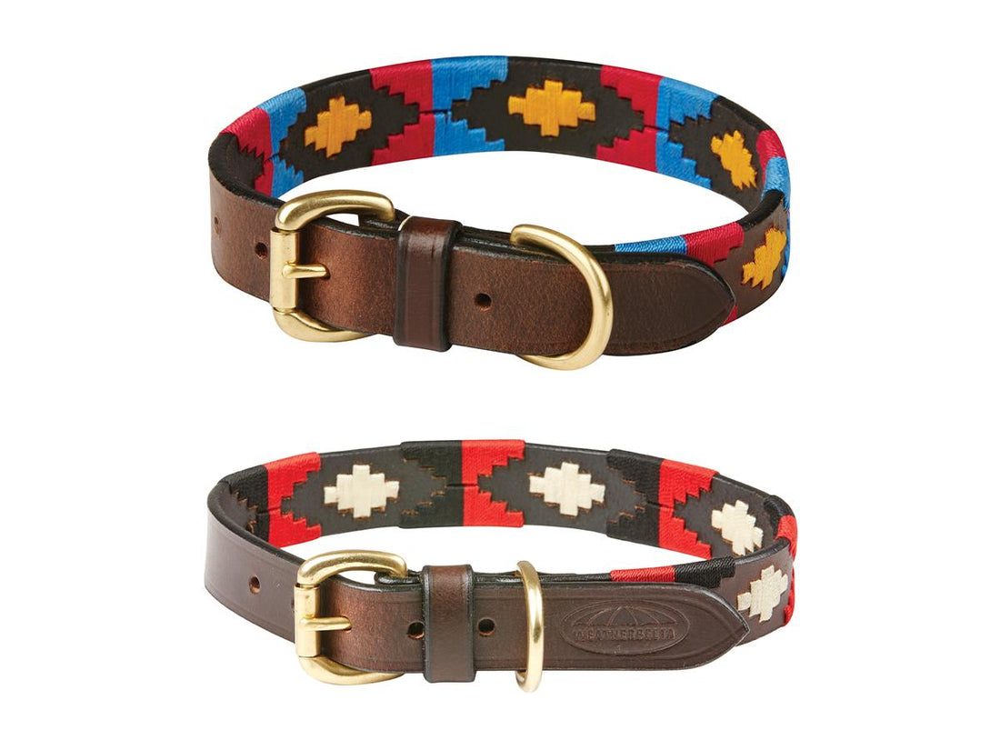 Weatherbeeta Polo Leather Dog Collar