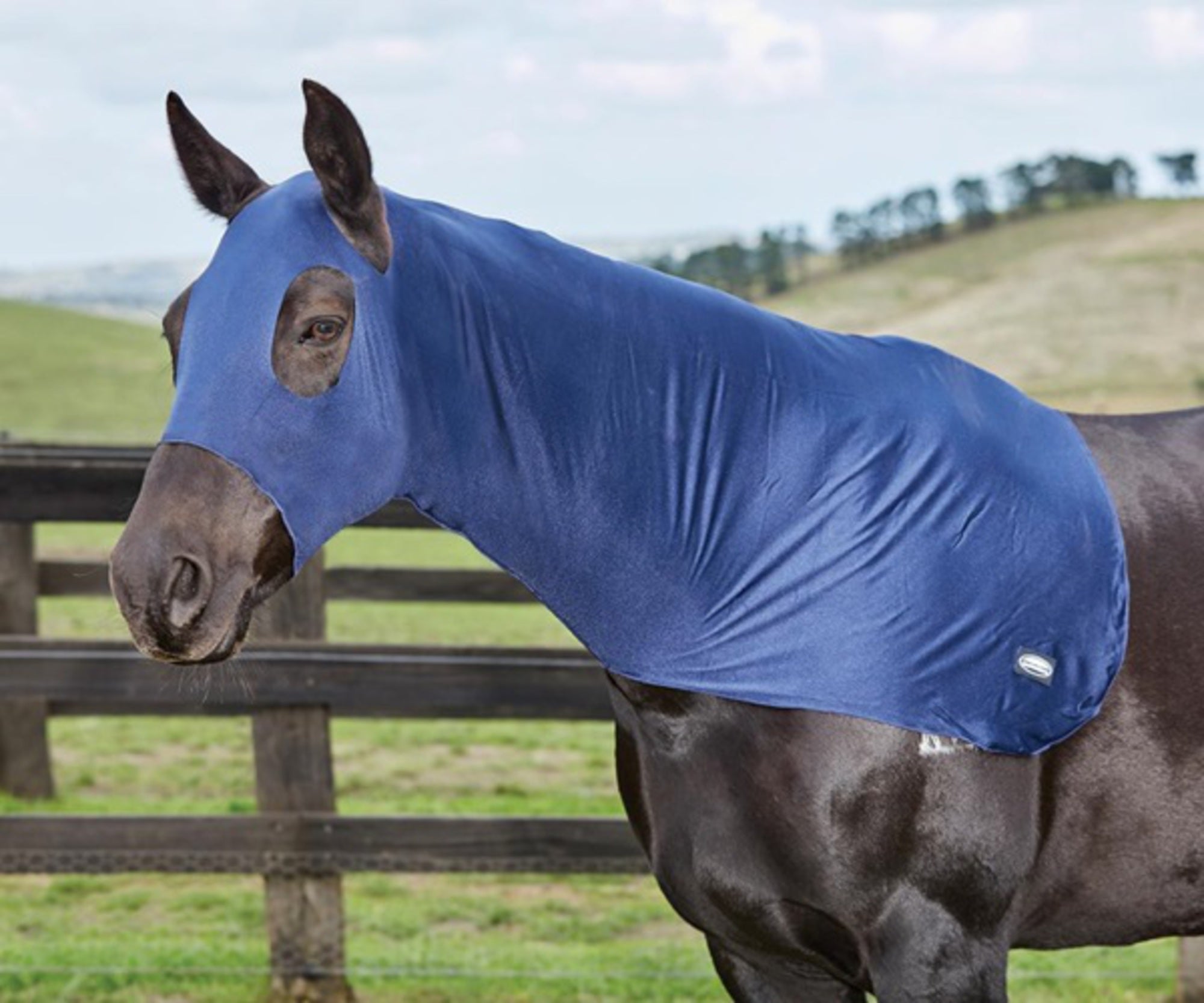 Weatherbeeta Stretch Hood