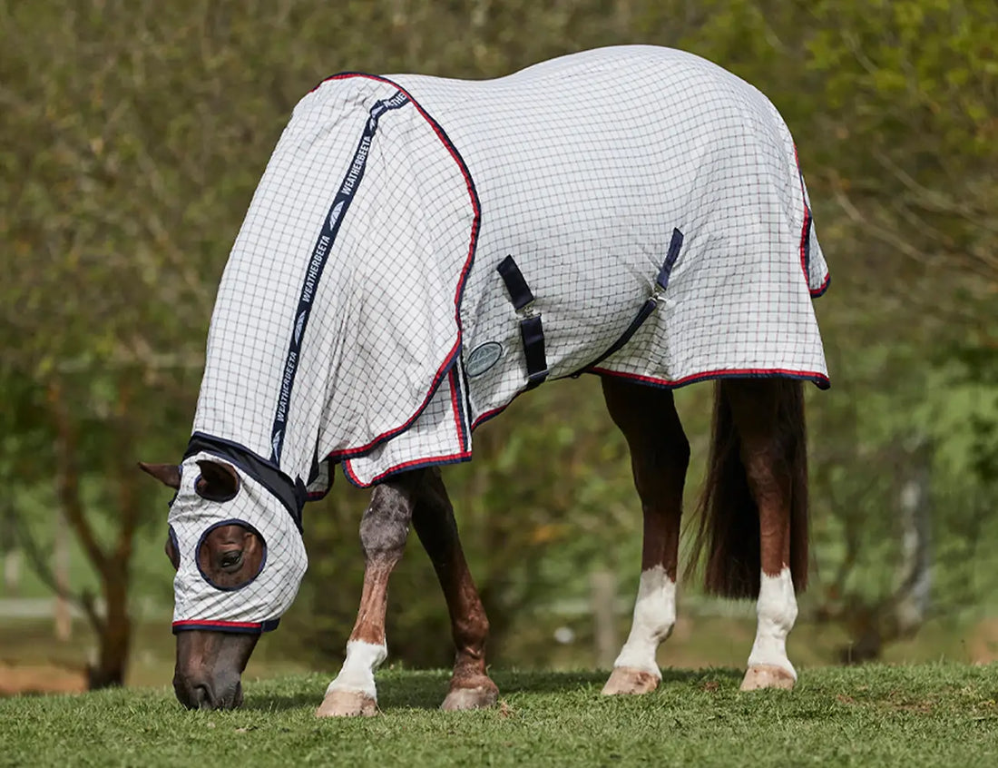 Weatherbeeta Summer Sheet Lite Detach-A-Hood