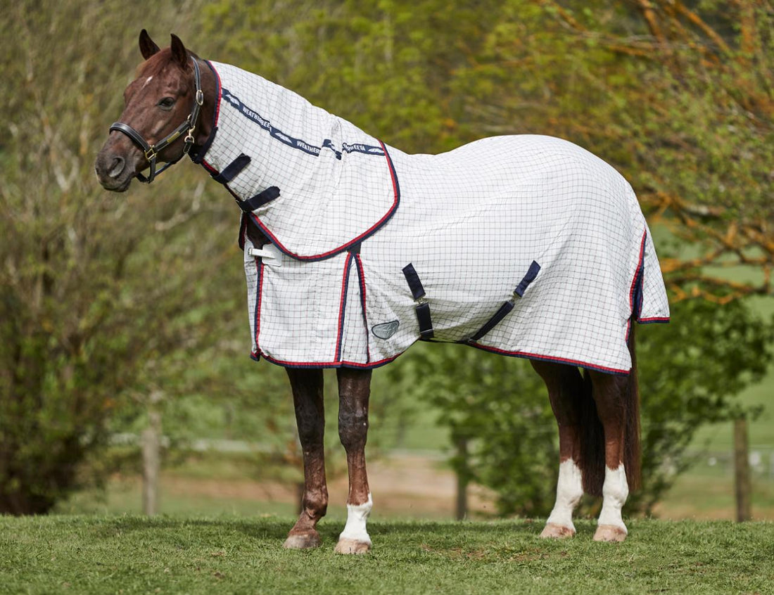 Weatherbeeta Summer Sheet Lite Detach-A-Neck