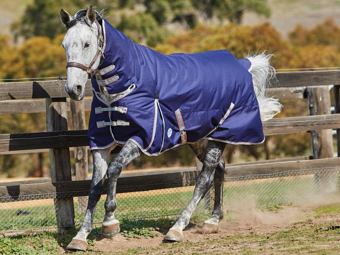 Weatherbeeta ComfiTec Essential Combo - Wide Fit