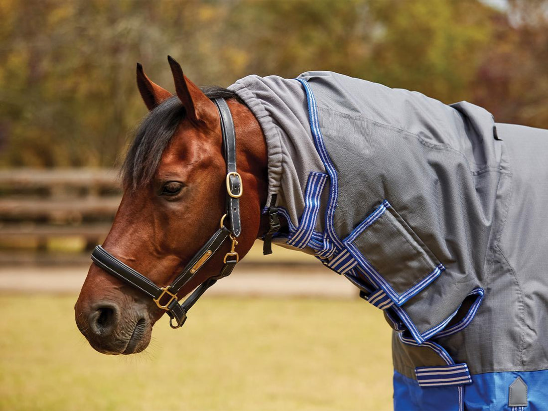 Weatherbeeta ComfiTec Premier Free Mane Shield Combo
