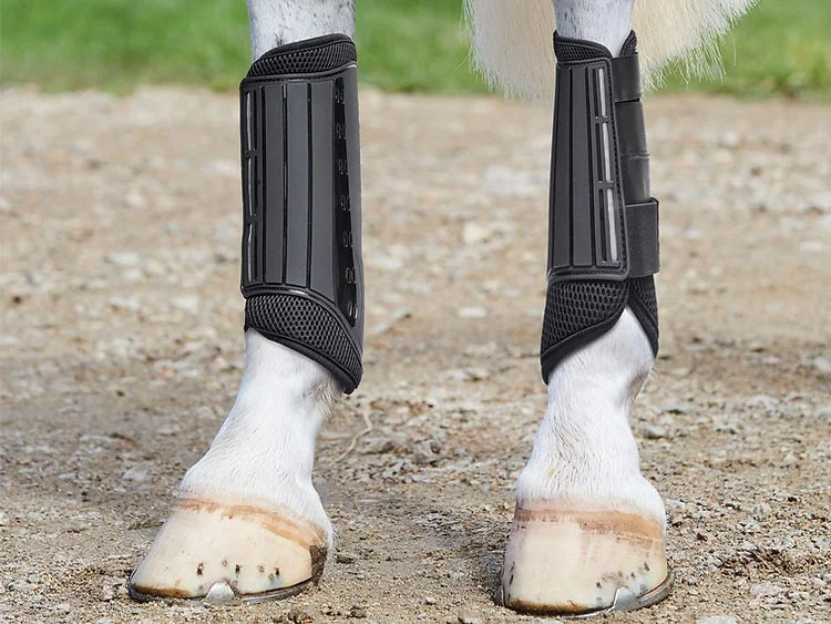 Weatherbeeta Eventing Hind Boots