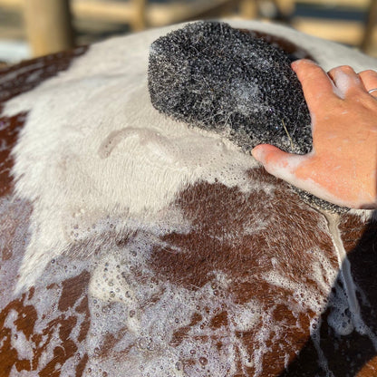 Eco Horse Black Raspberry Shampoo