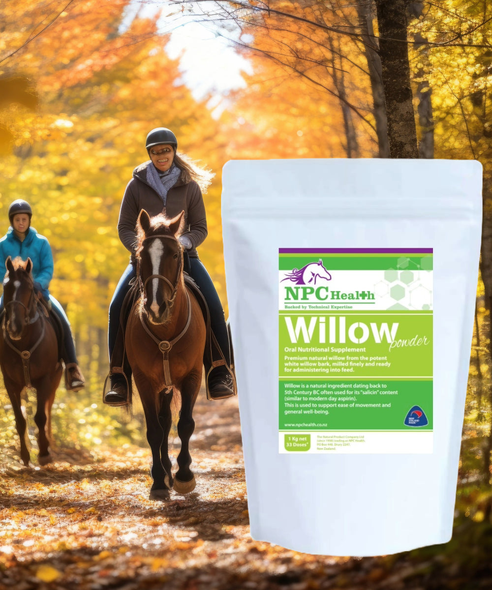 NPC Health Equine Willow Powder