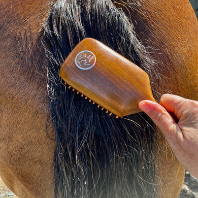 Eco Little Workhorse Brush