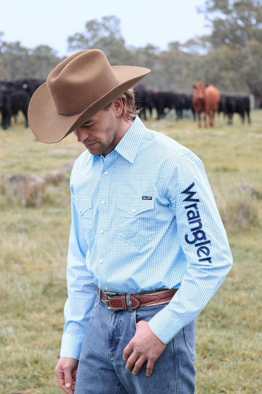 Wrangler Men&