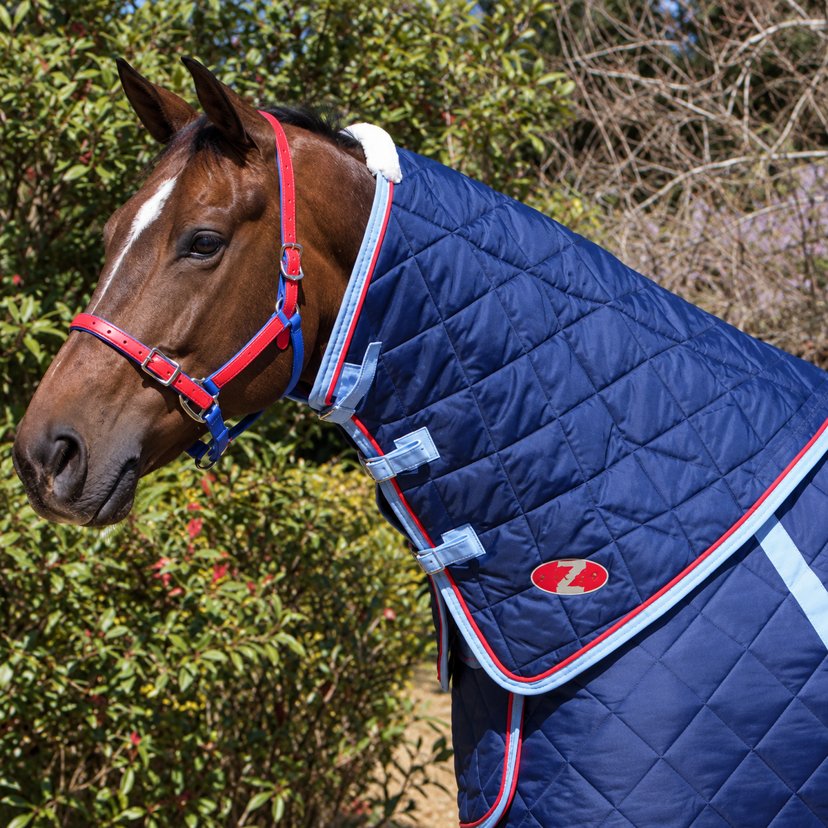 Zilco Defender Comforter Neck Rug