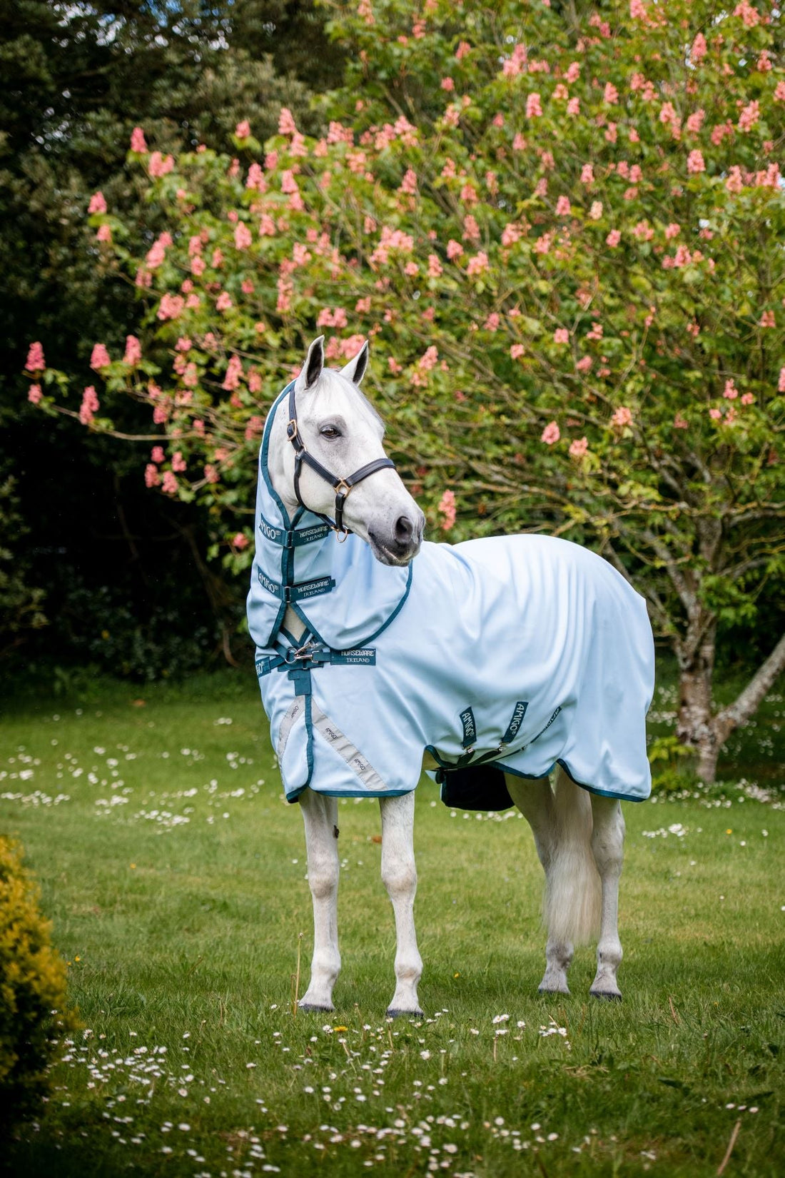 Horseware Plant Dye Turnout Detach-A-Neck