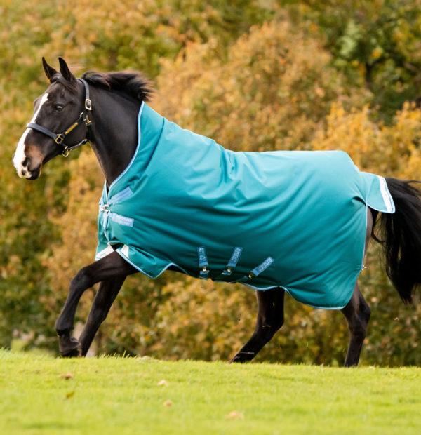 Amigo Bravo 12 Wug Turnout