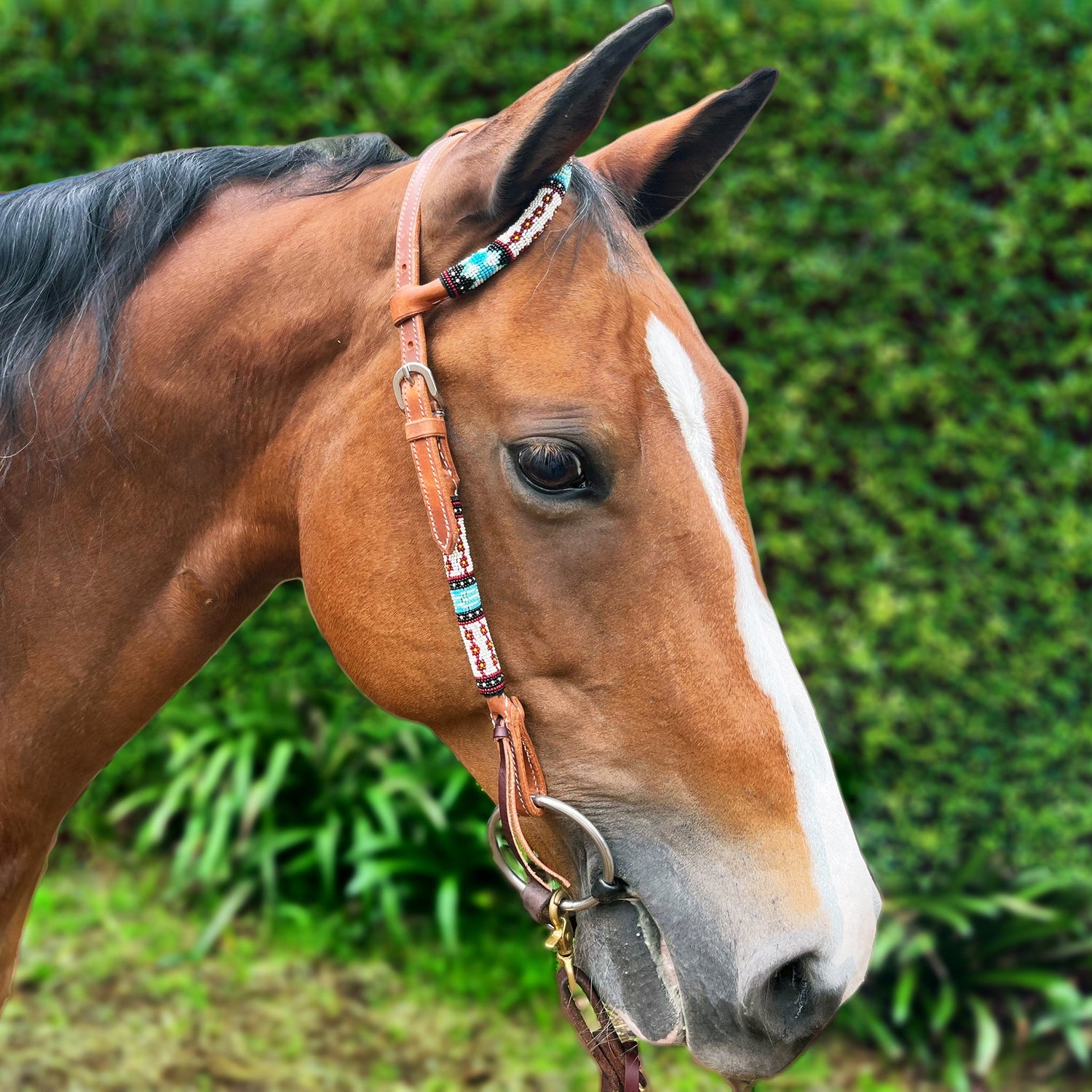 Ezy Ride Bridle One Ear with Blue Beaded Accent