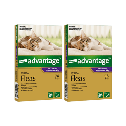 Advantage Spot-On Flea Treatment for Cats - 2