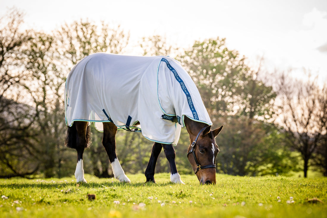 Amigo XL Bug Rug Detach-A-Neck