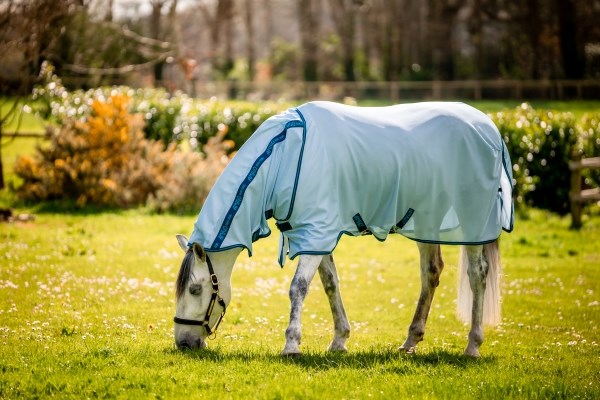 Amigo Bug Rug Detach-A-Neck