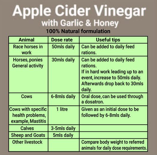 AHD Apple Cider Vinegar + Garlic &amp; Honey - Back