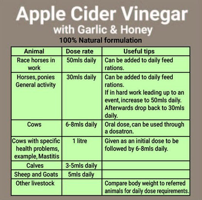 AHD Apple Cider Vinegar + Garlic &amp; Honey - Back