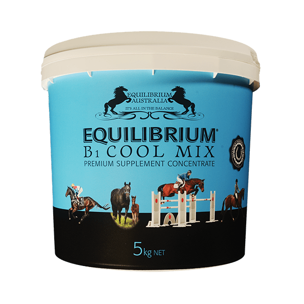 AHD Equilibrium B1 Cool Mix - 5kg