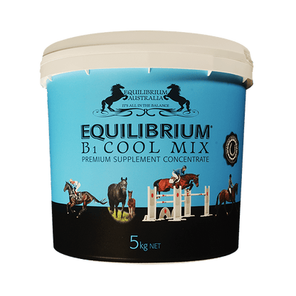 AHD Equilibrium B1 Cool Mix - 5kg