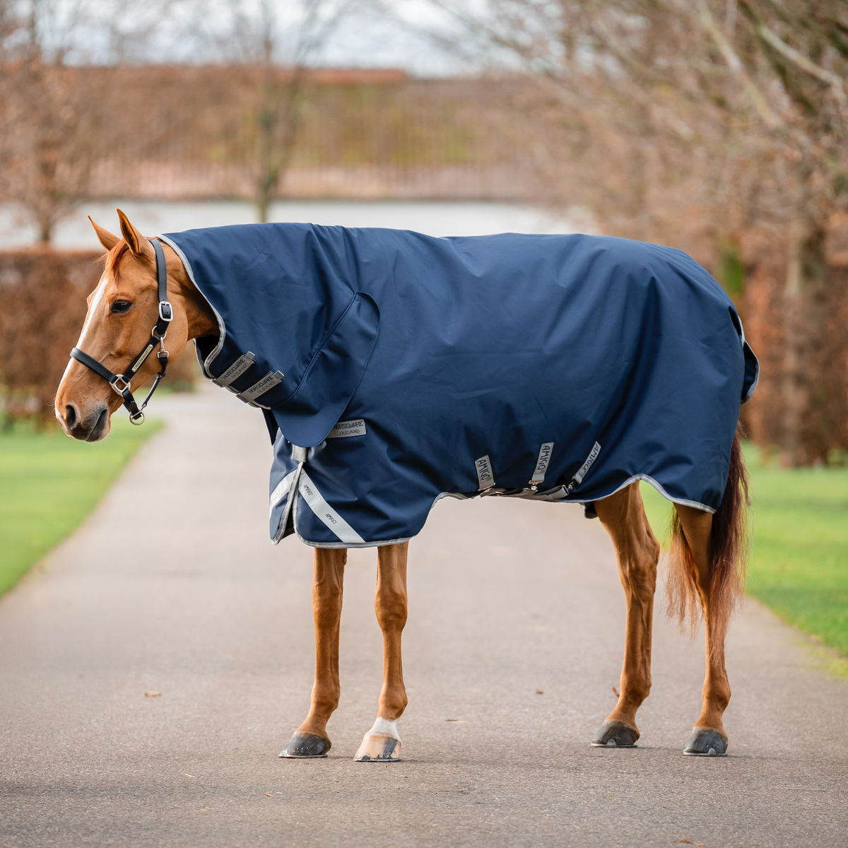 Amigo 1200D Integrated Turnout Combo - 2