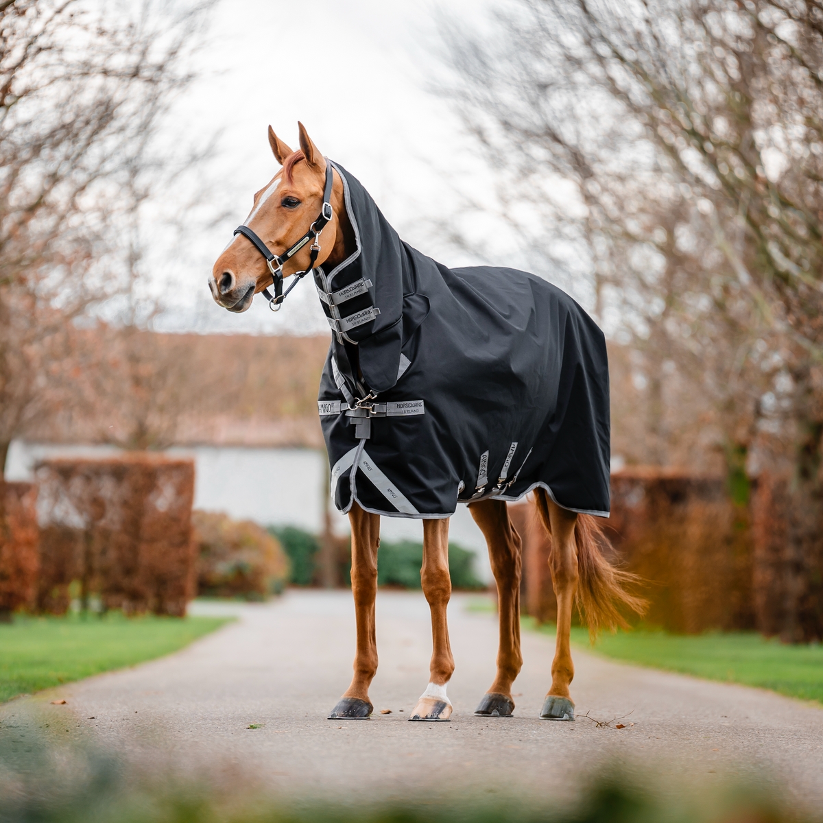 Amigo 1200D Integrated Turnout Combo