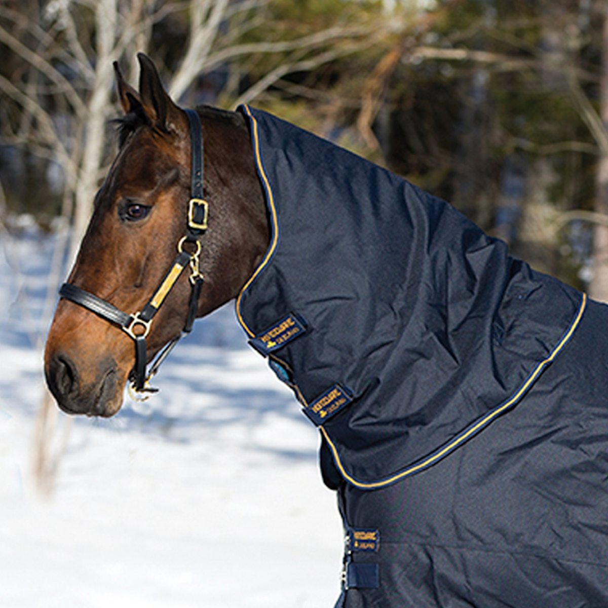 Amigo 1200D XL Turnout Neck Rug - 3