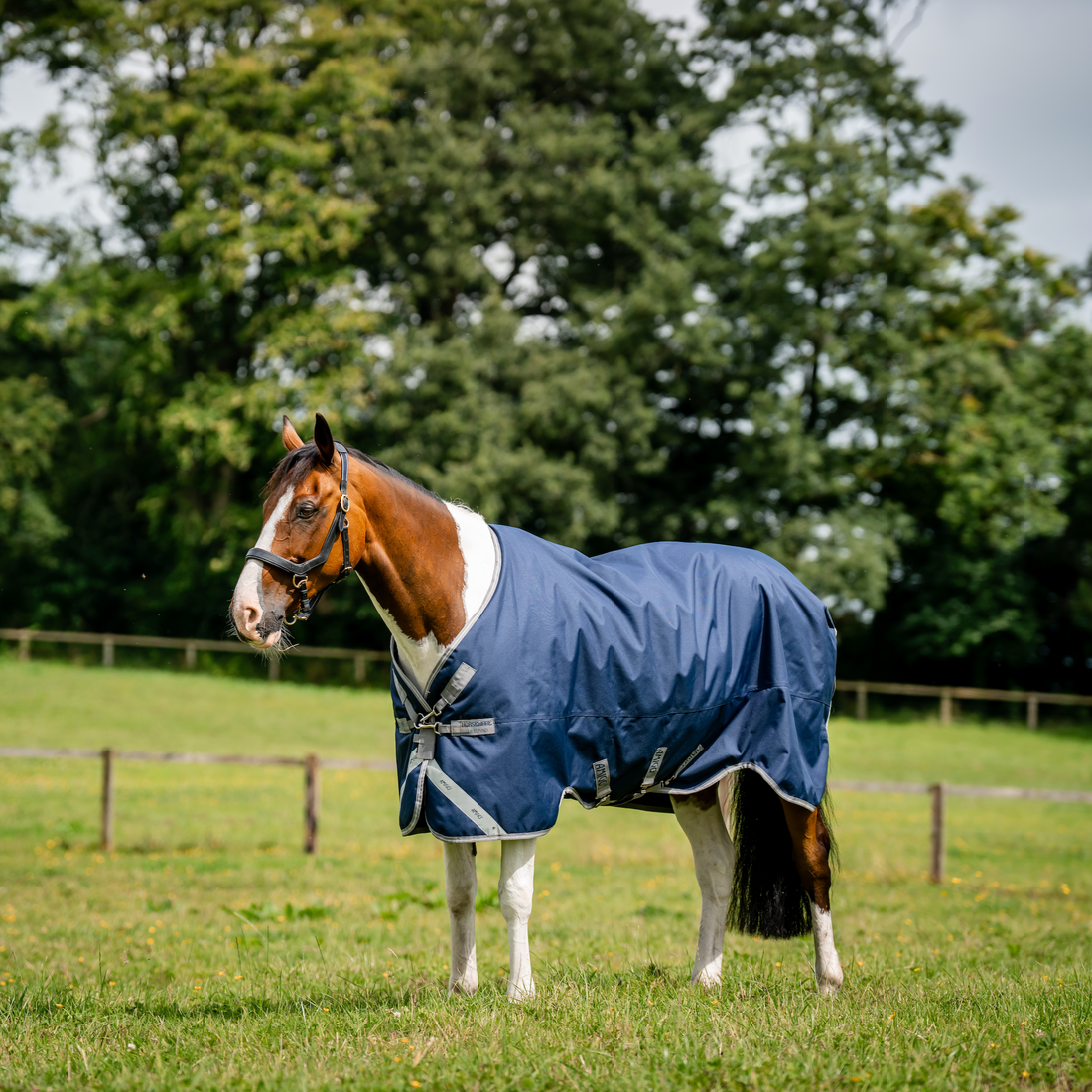 Amigo 1200D XL Turnout Standard Neck - 2