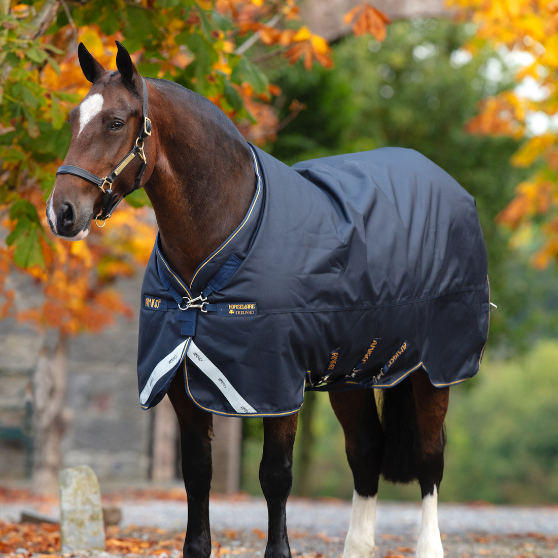 Amigo 1200D XL Turnout Standard Neck