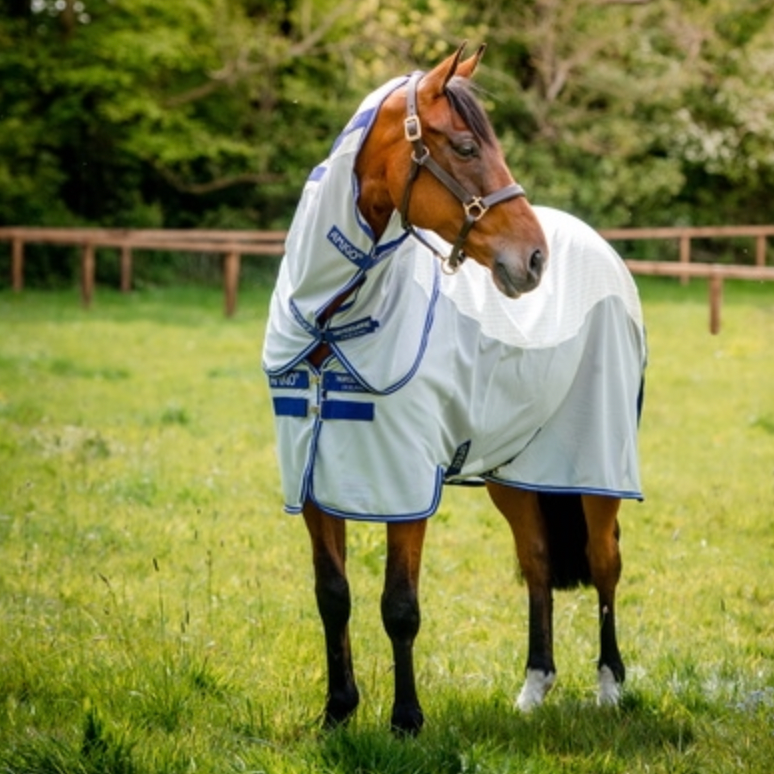 Horse grazing in a field wearing a white rug with blue trim Amigo Airflow Detach-A-Neck