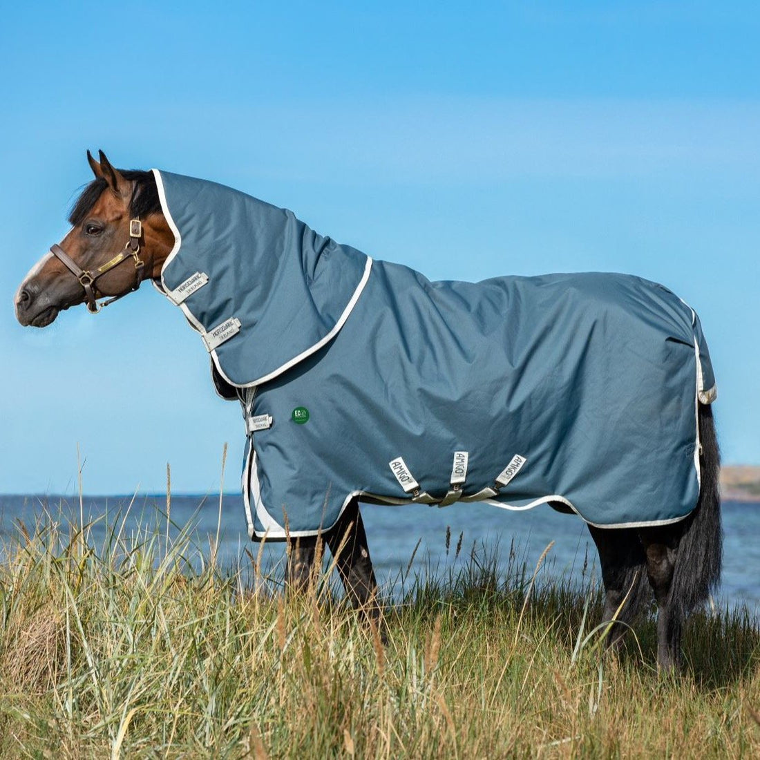 Amigo AmEco 12 Plus Turnout Detach-A-Neck - 8