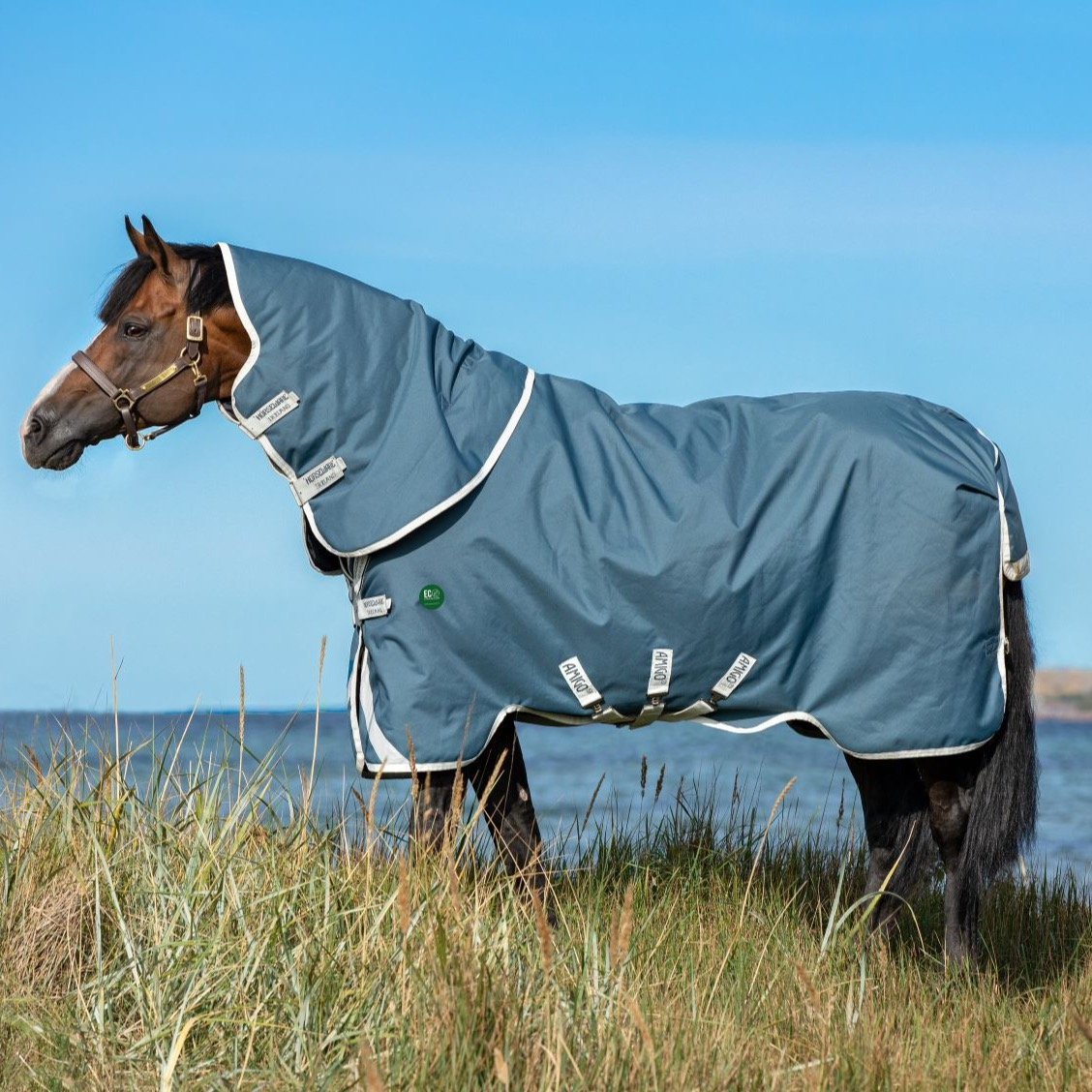 Amigo AmEco 12 Plus Turnout Detach-A-Neck - 8