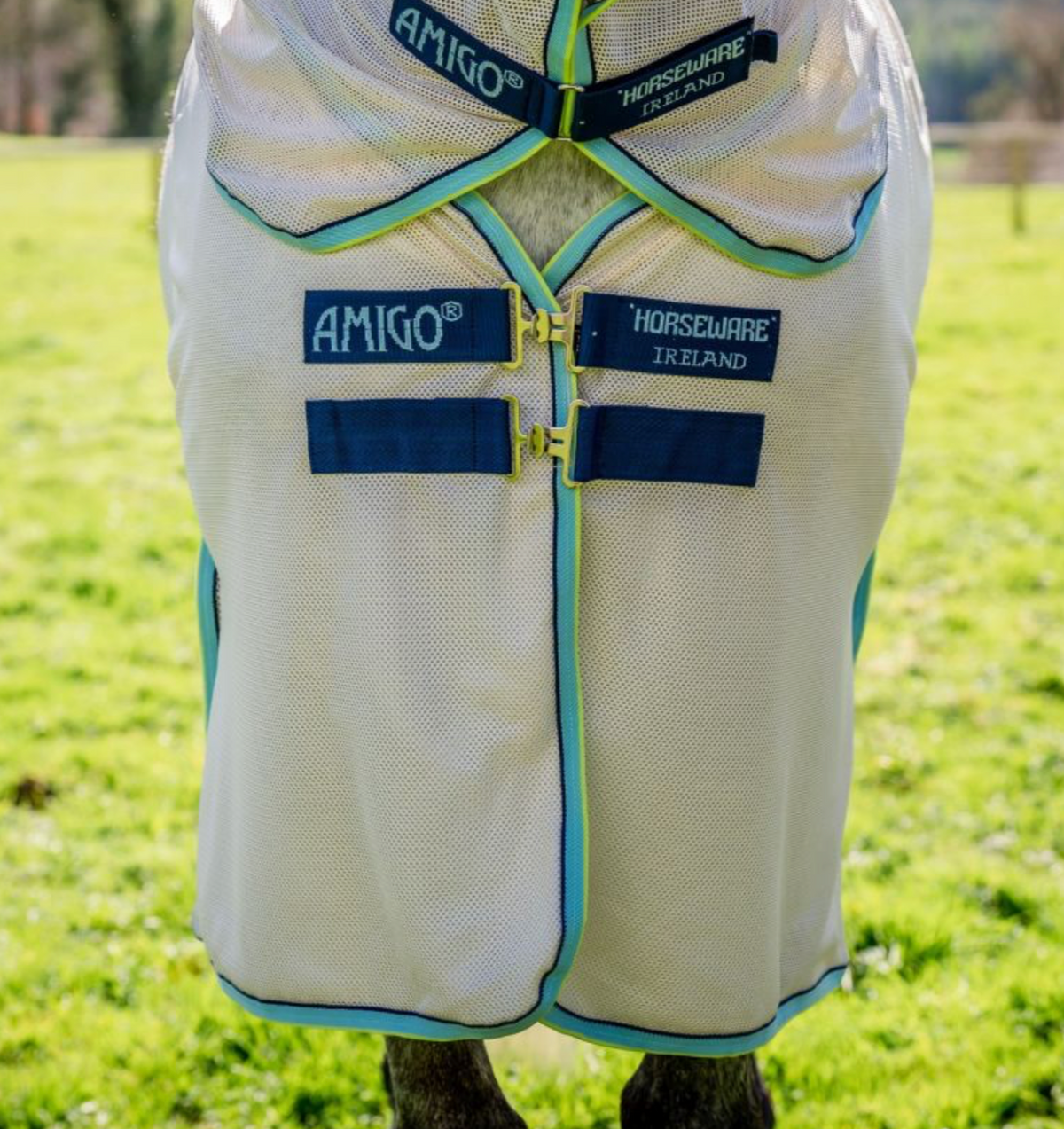 Amigo Bug Buster Fly Sheet Detach-A-Neck - 4