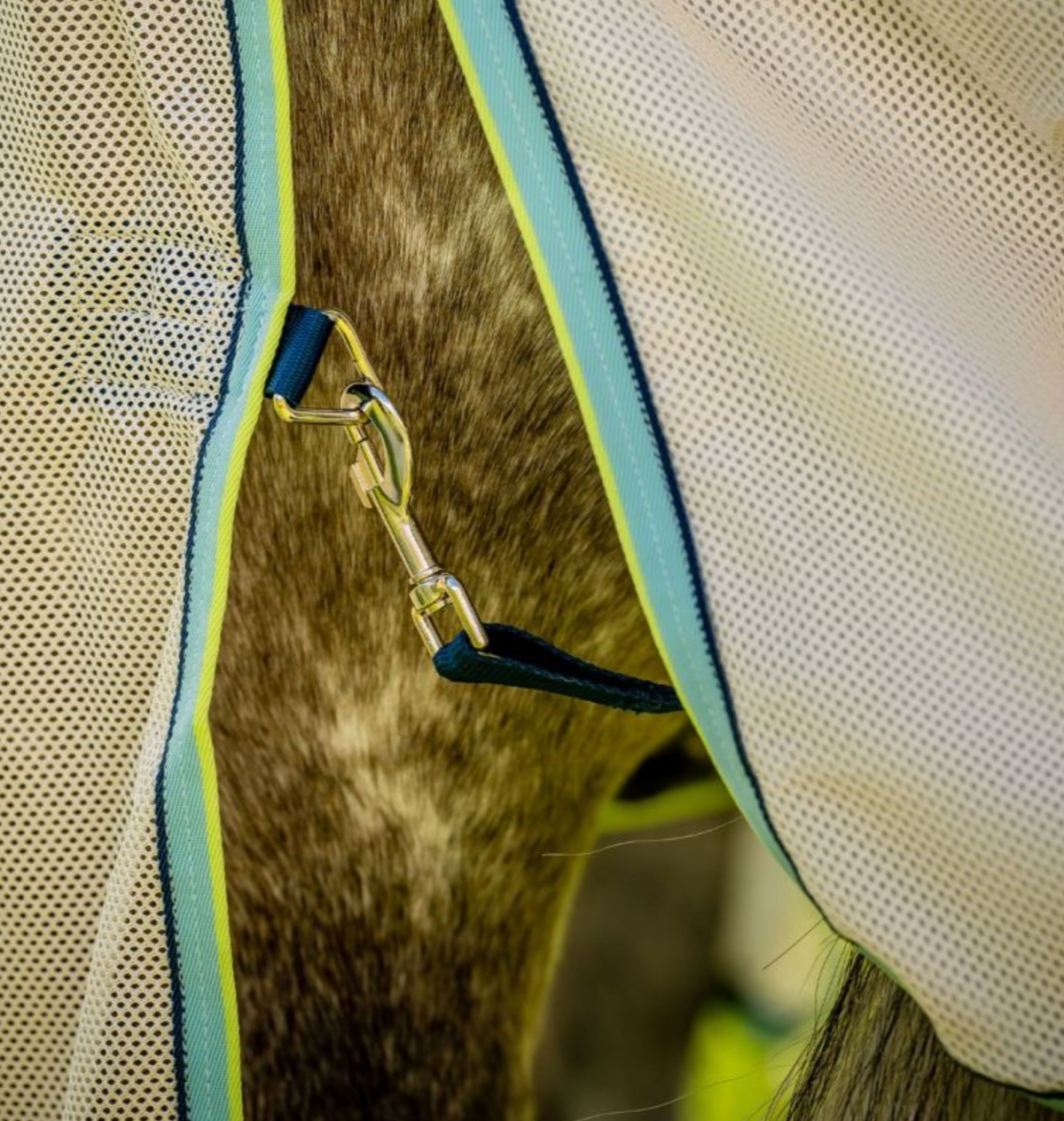 Amigo Bug Buster Fly Sheet Detach-A-Neck - 5